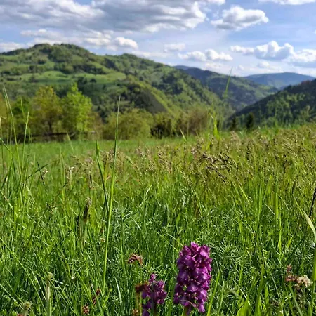 Σπίτι διακοπών Legat Tri Brata Vionica (Moravica)