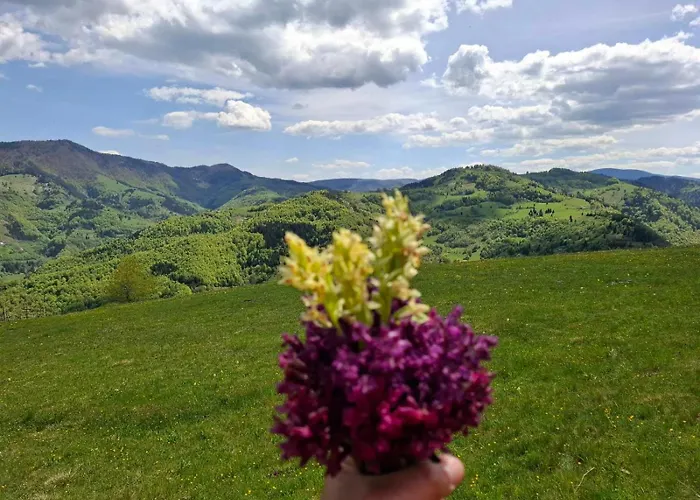 Tatil Evi Legat Tri Brata *