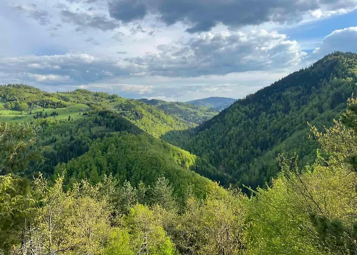 Legat Tri Brata Tatil Evi Vionica (Moravica)