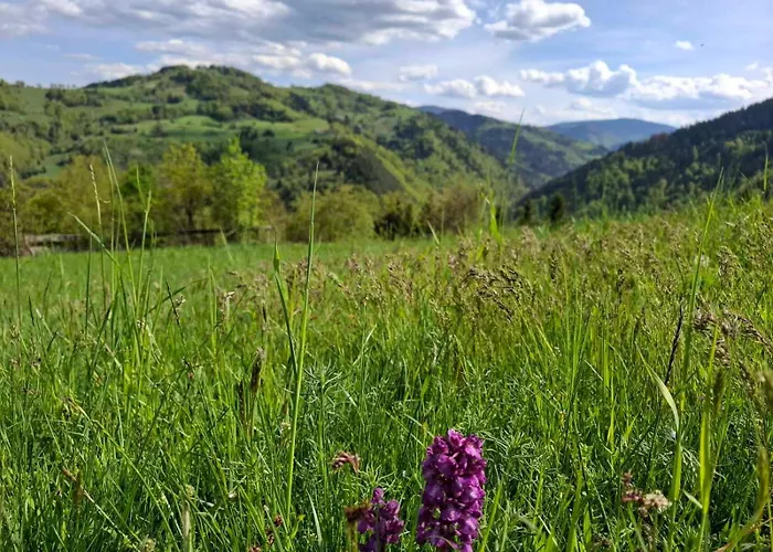 Tatil Evi Legat Tri Brata Vionica (Moravica)